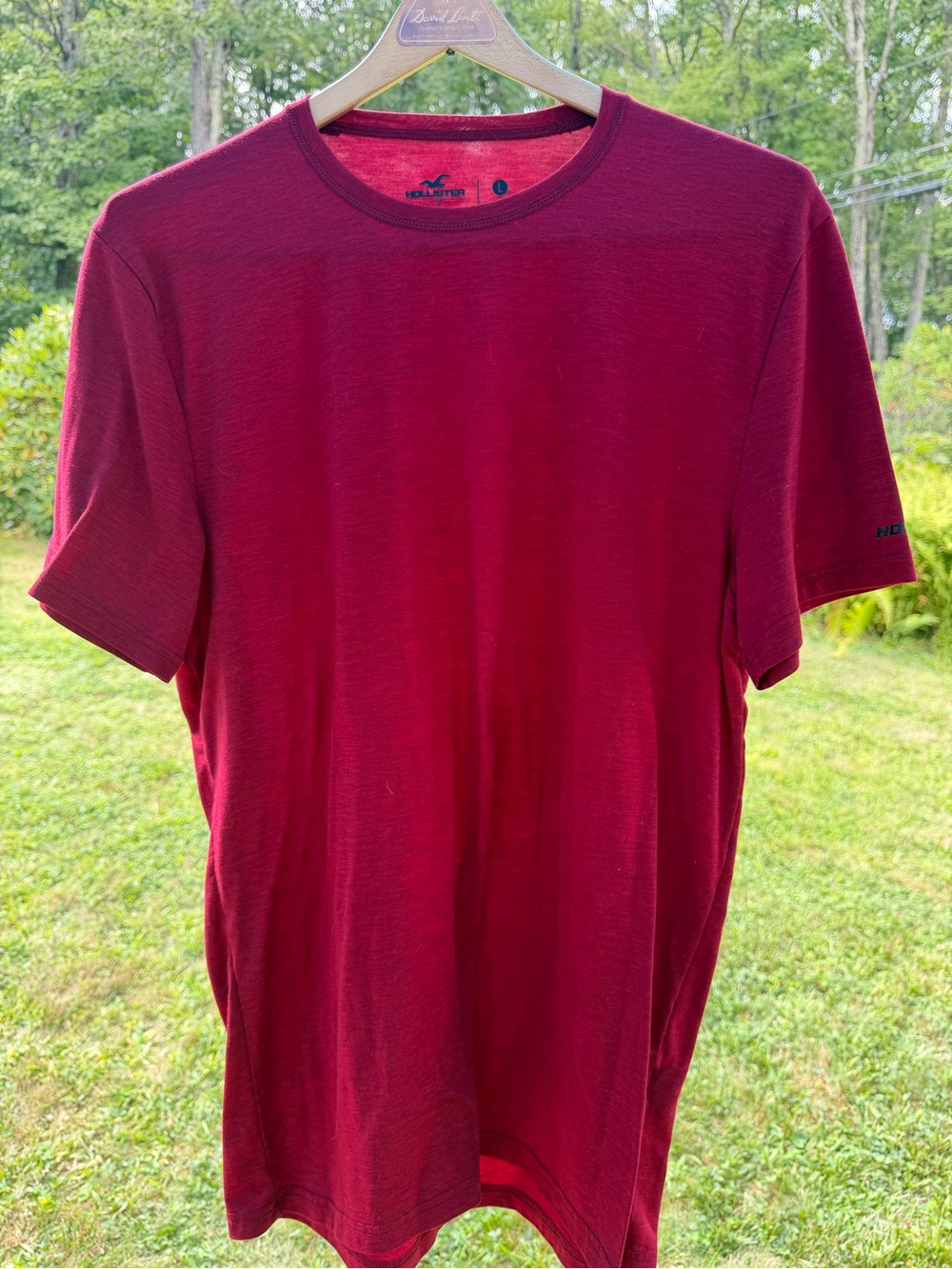 Hollister Men's Deep Red Crewneck Short Sleeve Tee